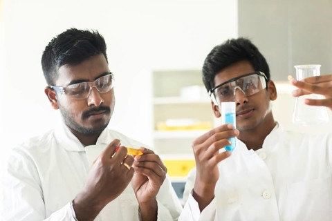 Students in an internship at the university