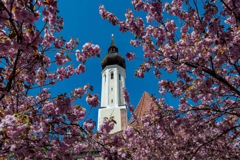 The tower of the secularised Frauenkircherl in Erding
