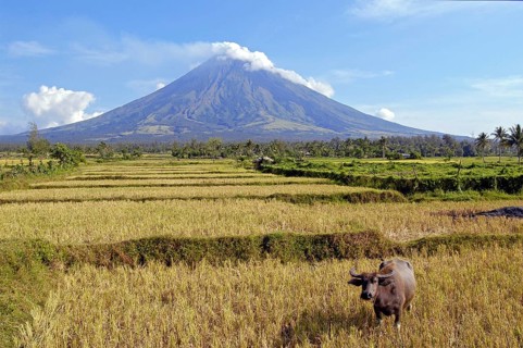 Mayon Volcano