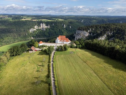 Wildenstein Castle