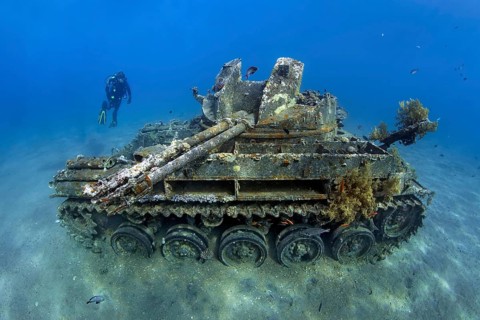 Diver