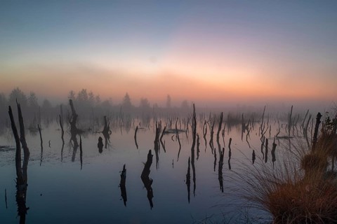 Rehdener-Geestmoor
