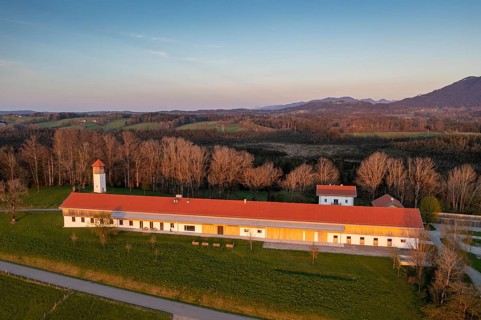 Art and Nature Foundation