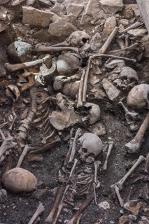 Bones found during recent excavations at St. Peter's Cathedral