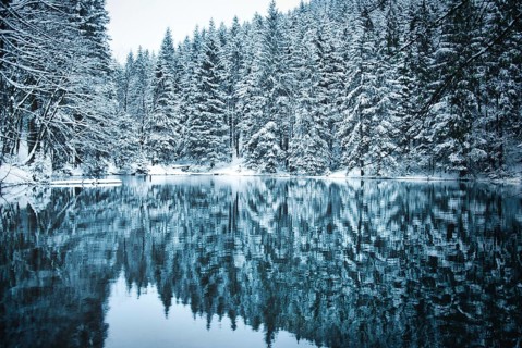 Lake in coniferous forest with snow