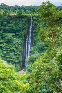 Papapapai-Tai Falls