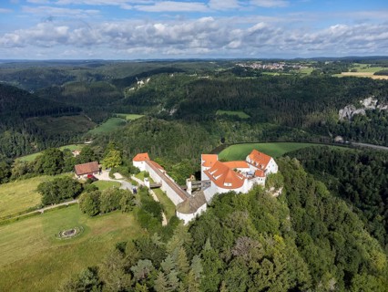 Wildenstein Castle