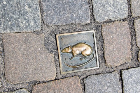 Rattenstein