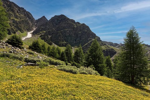 Ascent to the Schaubach Hut