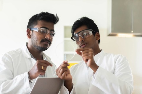 Students in an internship at the university