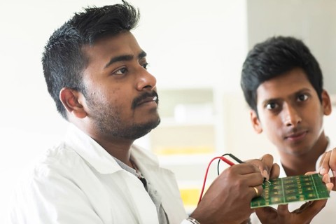 Students in an internship at the university