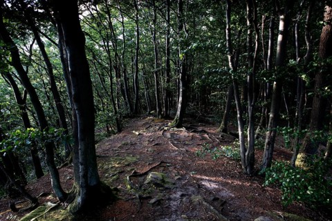 Hiking trail to the Teufelskanzel