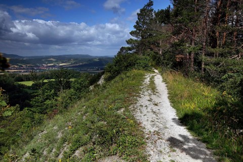 Hiking trail to Adolphsburg