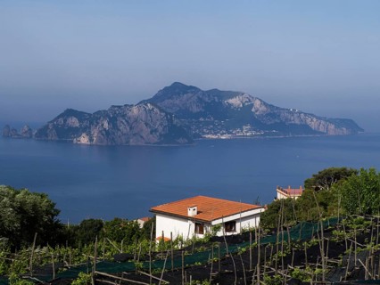 Island of Capri