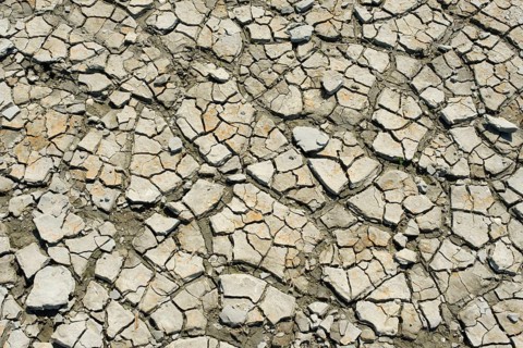 Cracks in the dry soil in the mudflats