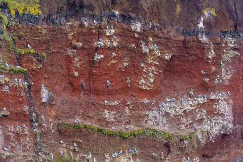 Red coloured Krisuvikuberg cliffs
