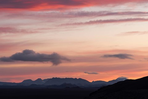 Evening light