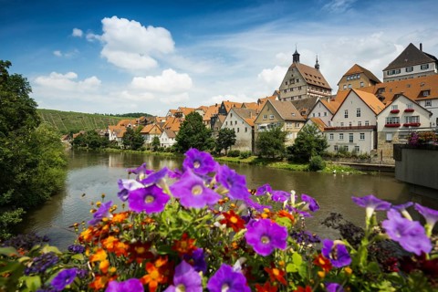 Town view