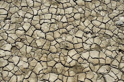 Cracks in the dry soil in the mudflats