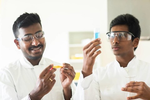 Students in an internship at the university