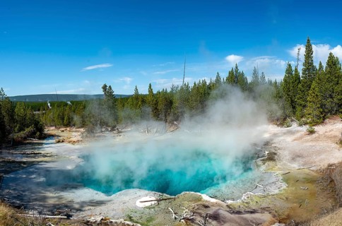 Emerald Spring