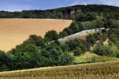 Wall