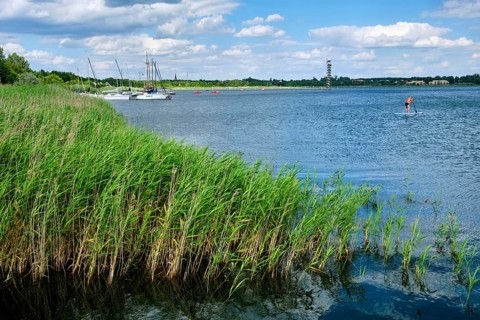 Large Goitzsche Lake with water level tower