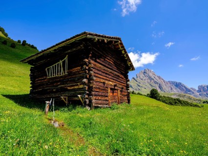 Alpine hut