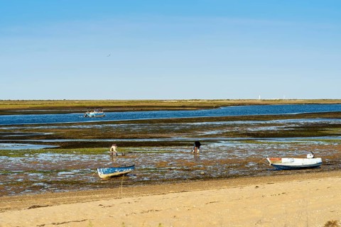 Ria Formosa during low tide with boats and people gathering the seafood