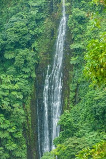 Papapapai-Tai Falls