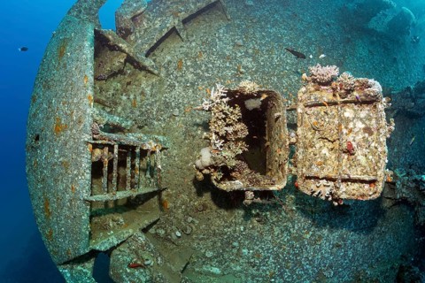 Entrance covered with stony corals