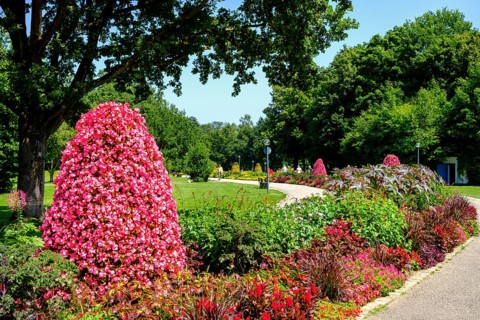 Spa garden