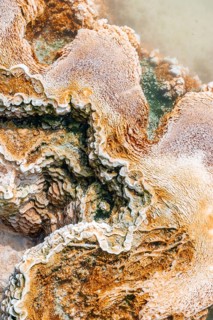 Detail photo