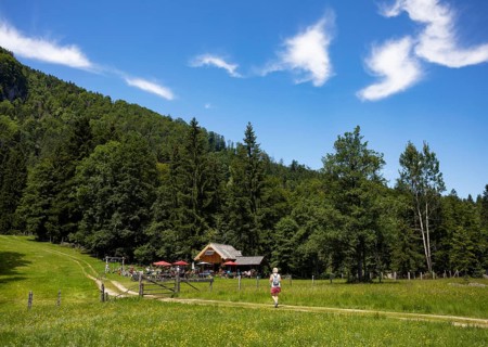 Hiker on the path from Schwarzensee to Moosalm Municipality of St.Wolfgang
