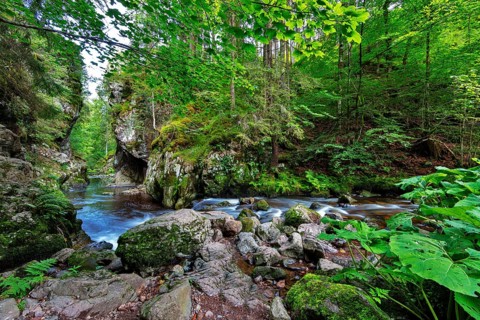 Haslachschlucht