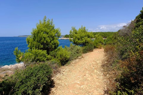 Hiking trail on the coast