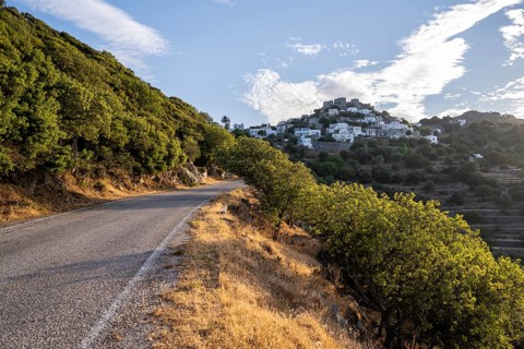 Road in the evening light