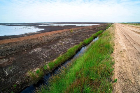 Moor landscape photograph