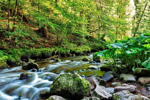 Haslach Gorge