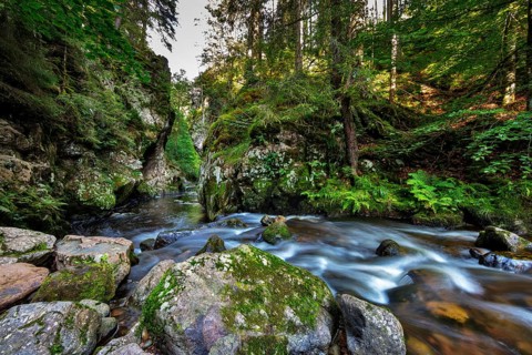 Haslachschlucht