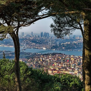 View from the hill