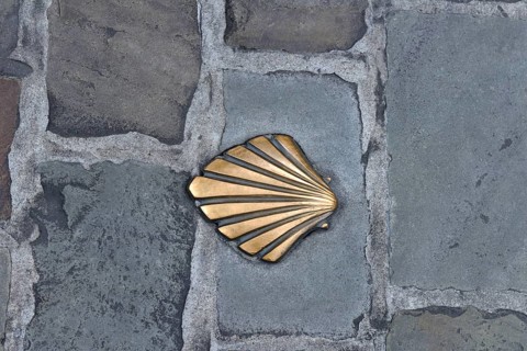 Scallop shell as a sign for the pilgrimage route/ Way of St. James to Santiago di Compostela