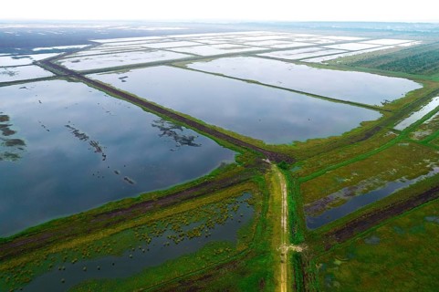 Moor aerial view