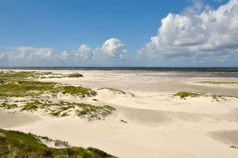 Foredunes on broad Kniepsand