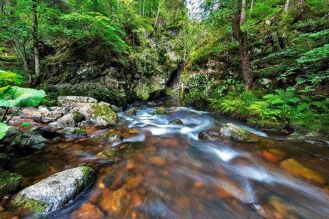 Haslachschlucht