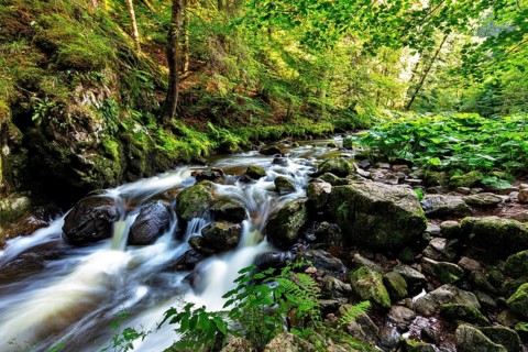 Haslach Gorge
