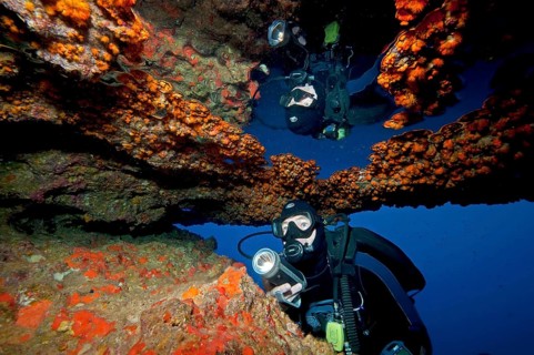 Diver looking at and illuminating yellow crustose anemones (Parazoanthus axinellae) and reflected in air bubble in underwater cave ceiling