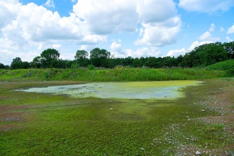 Nature conservation area