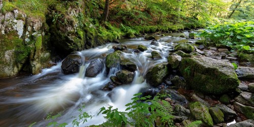Haslach Gorge