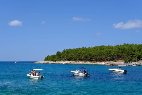 Boats in the sea on the coast